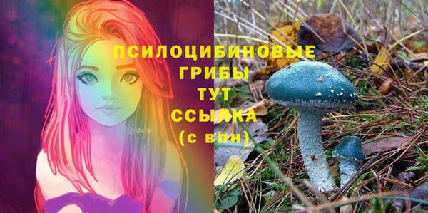 гашик Киренск