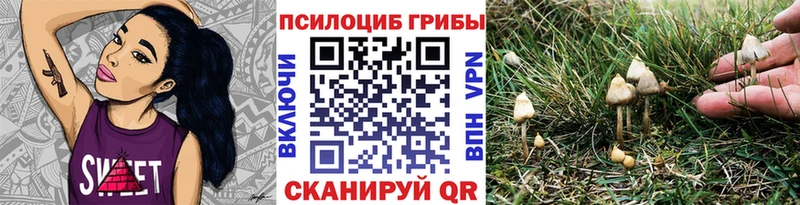 Галлюциногенные грибы GOLDEN TEACHER  Купить закладки  Суджа 