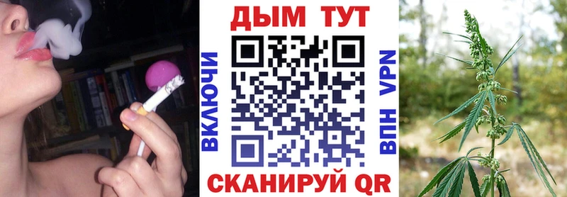 Купить закладки Суджа Канабис планчик